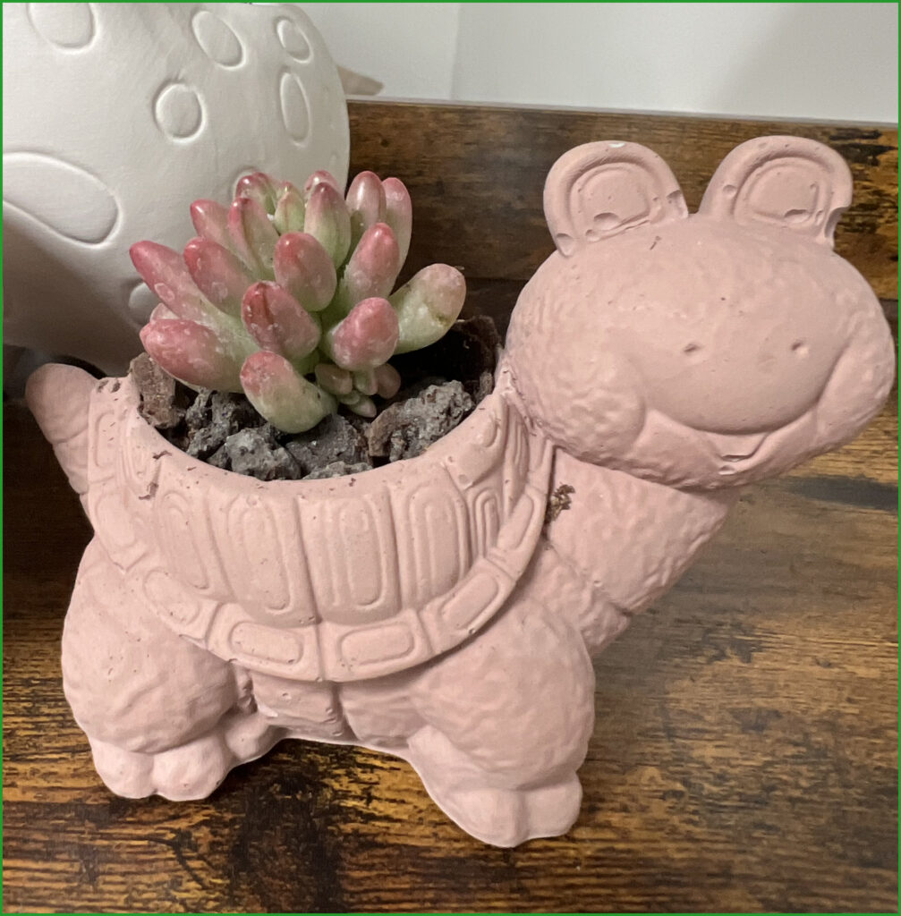 Turtle Planter