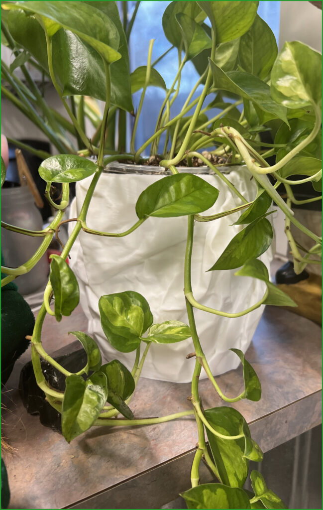 White Crumpled Paper Planter