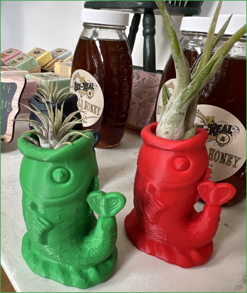 Air Plants in Fish Planters