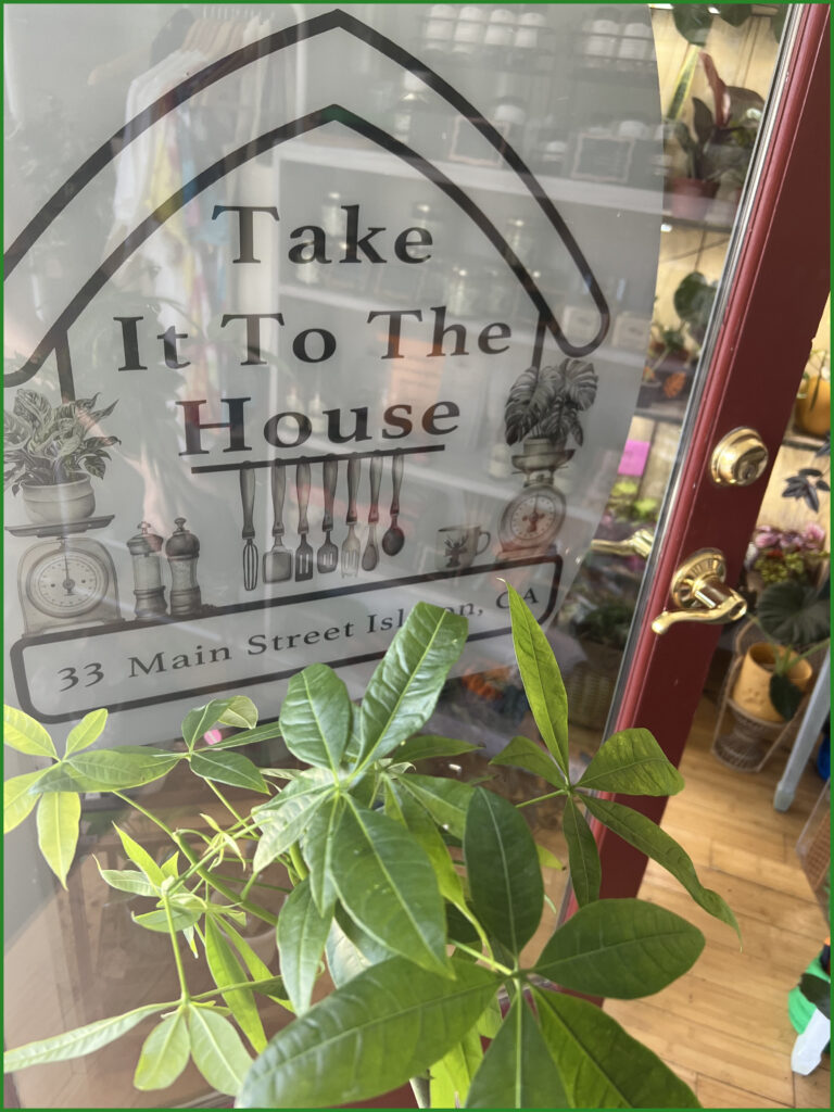 Come find your next house plant!