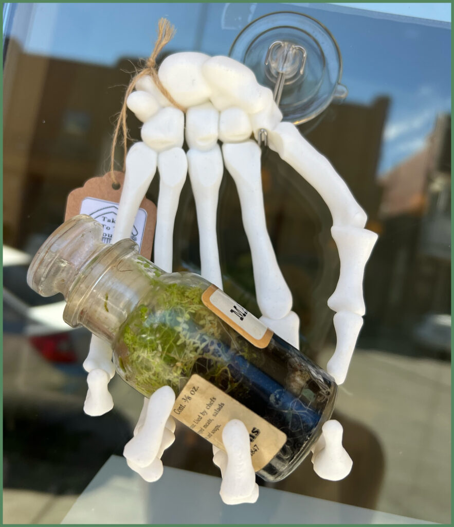 3d Skeleton hand holding mini antique spice bottle with terrarium
